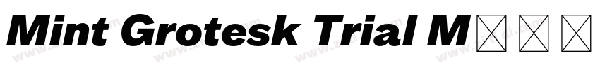 Mint Grotesk Trial M字体转换